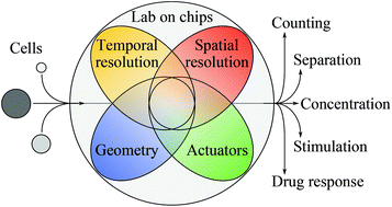 Graphical abstract: High spatial and temporal resolution cell manipulation techniques in microchannels