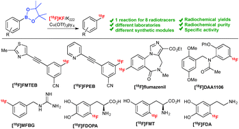 Graphical abstract: Enhanced copper-mediated 18F-fluorination of aryl boronic esters provides eight radiotracers for PET applications