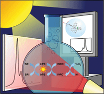 Graphical abstract: Editorial of the PCCP themed issue on “Basic Mechanisms in Energy Conversion”