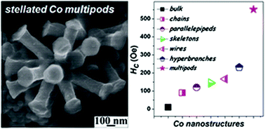 Graphical abstract: High coercivity stellated cobalt metal multipods through solvothermal reduction of cobalt hydroxide nanosheets