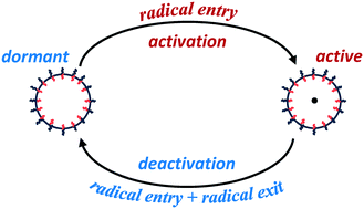 Graphical abstract: Particle activation/deactivation effect in RAFT emulsion polymerization of styrene