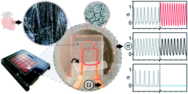 Graphical abstract: Cardiac microphysiological devices with flexible thin-film sensors for higher-throughput drug screening