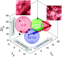 Graphical abstract: Self-assembly pathways and polymorphism in peptide-based nanostructures