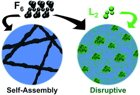 Graphical abstract: Molecular dynamics simulations reveal disruptive self-assembly in dynamic peptide libraries