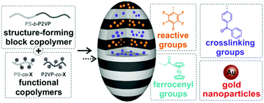 Graphical abstract: Highly functional ellipsoidal block copolymer nanoparticles: a generalized approach to nanostructured chemical ordering in phase separated colloidal particles