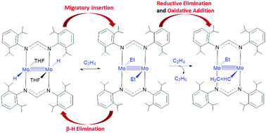 Graphical abstract: Reactivity of a trans-[H–Mo [[quadruple bond, length as m-dash]] Mo–H] unit towards alkenes and alkynes: bimetallic migratory insertion, H-elimination and other reactions