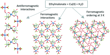 Graphical abstract: Magnetostructural relationships in polymorphic ethylmalonate-containing copper(ii) coordination polymers