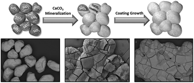 Graphical abstract: Development of a novel CaCO3 PILP based cementation method for quartz sand