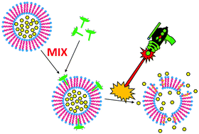 Graphical abstract: Binding of an amphiphilic phthalocyanine to pre-formed liposomes confers light-triggered cargo release