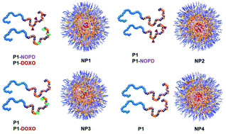 Graphical abstract: Enhancing doxorubicin anticancer activity with a novel polymeric platform photoreleasing nitric oxide