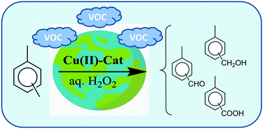 Graphical abstract: Cu(ii) complexes of N-rich aroylhydrazone: magnetism and catalytic activity towards microwave-assisted oxidation of xylenes