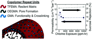 Graphical abstract: Resilient hollow fiber nanofiltration membranes fabricated from crosslinkable phase-separated copolymers