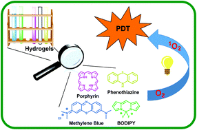 Graphical abstract: Hydrogels: soft matters in photomedicine