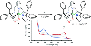 Graphical abstract: Ambiphilicity of a mononuclear cobalt(iii) superoxo complex