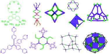 Graphical abstract: Recent developments in the construction and applications of platinum-based metallacycles and metallacages via coordination