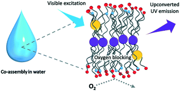 Graphical abstract: Visible-to-UV photon upconversion in air-saturated water by multicomponent co-assembly