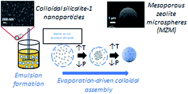 Graphical abstract: Hierarchical micro-/mesoporous zeolite microspheres prepared by colloidal assembly of zeolite nanoparticles