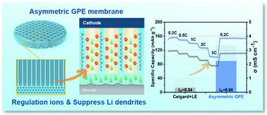 Graphical abstract: Asymmetric gel polymer electrolyte with high lithium ion conductivity for dendrite-free lithium metal batteries