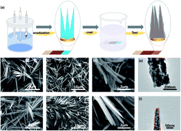 Graphical abstract: Enhancing CO2 reduction by suppressing hydrogen evolution with polytetrafluoroethylene protected copper nanoneedles