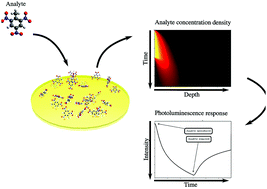 Graphical abstract: A kinetic model of thin-film fluorescent sensors for strategies to enhance chemical selectivity