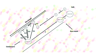 Graphical abstract: A quantitative multiscale perspective on primary olefin formation from methanol