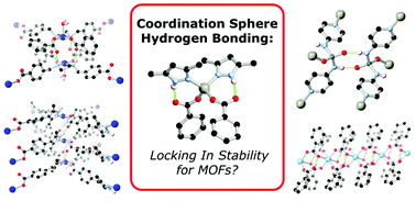 Graphical abstract: Coordination sphere hydrogen bonding as a structural element in metal–organic Frameworks
