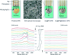 Graphical abstract: In situ surface enhanced Raman spectroscopy study of electrode–polyelectrolyte interfaces