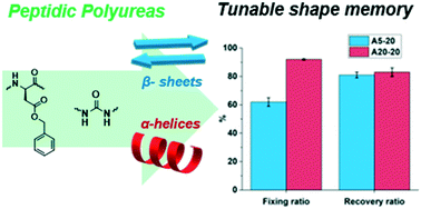 Graphical abstract: Engineering bio-inspired peptide–polyurea hybrids with thermo-responsive shape memory behaviour