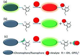 Graphical abstract: Chromo-fluorogenic sensing using vitamin B6 cofactors and their derivatives: a review