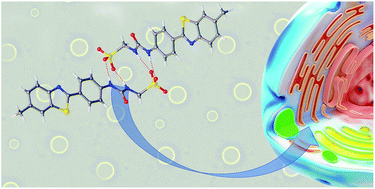 Graphical abstract: Supramolecular self-associating amphiphiles (SSAs) as nanoscale enhancers of cisplatin anticancer activity