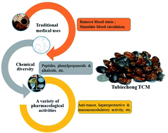 Graphical abstract: A periodic review of chemical and pharmacological profiles of Tubiechong as insect Chinese medicine