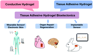 Graphical abstract: Tissue adhesive hydrogel bioelectronics
