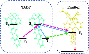 Graphical abstract: Triplet-to-singlet exciton transfer in hyperfluorescent OLED materials