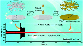 Graphical abstract: Polydimethylsiloxane functionalized separator for a stable and fast lithium metal anode