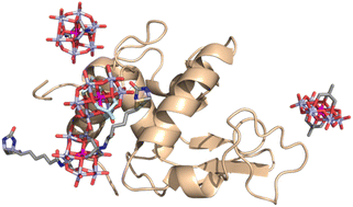 Graphical abstract: Fine-tuning non-covalent interactions between hybrid metal-oxo clusters and proteins