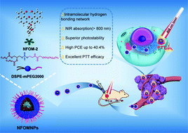 Graphical abstract: Naphthofluorescein-based organic nanoparticles with superior stability for near-infrared photothermal therapy