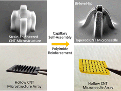 Graphical abstract: Hollow microneedle array fabrication using a rational design to prevent skin clogging in transdermal drug delivery