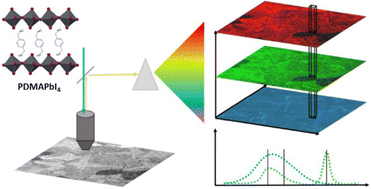 Graphical abstract: Taking a closer look – how the microstructure of Dion–Jacobson perovskites governs their photophysics