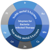 Graphical abstract: Single atom nanozymes for bacterial infection therapy