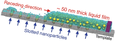 Graphical abstract: Unraveling the impact of template geometry and confinement on template-assisted self-assembly of nanoparticles