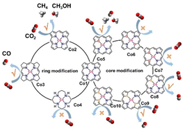 Graphical abstract: Molecular modification of planar four-coordinated cobalt active site for the electrochemical reduction of carbon dioxide: a density functional theory study