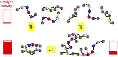 Graphical abstract: Dynamic self-assembly of supramolecular catalysts from precision macromolecules