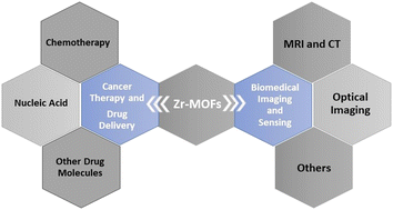 Graphical abstract: MOF magic: zirconium-based frameworks in theranostic and bio-imaging applications