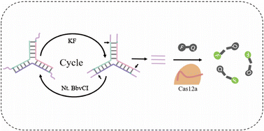 Graphical abstract: One-pot synthesized three-way junction based multiple strand displacement amplification for sensitive assay of H5N1 DNA