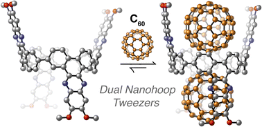 Graphical abstract: Dual molecular tweezers extending from a nanohoop