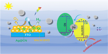 Graphical abstract: Synergistic effect of Ag@CN with BiVO4 in a unique Z-type heterojunction for enhancing photoelectrochemical water splitting performance