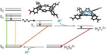 Graphical abstract: Porphyrins on acid: kinetics of the photoinduced-protonation of tetrakis(4-carboxyphenyl)-porphyrin
