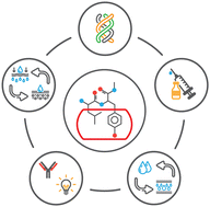 Graphical abstract: Molecular recognition of peptides and proteins by cucurbit[n]urils: systems and applications
