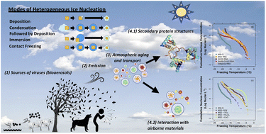 Graphical abstract: Physicochemical properties and their impact on ice nucleation efficiency of respiratory viral RNA and proteins