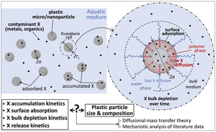 Graphical abstract: Sorption kinetics of metallic and organic contaminants on micro- and nanoplastics: remarkable dependence of the intraparticulate contaminant diffusion coefficient on the particle size and potential role of polymer crystallinity